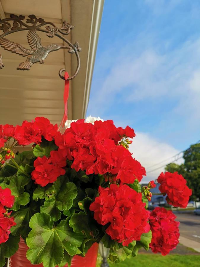 Inn On The Harbour Charlottetown Exterior foto